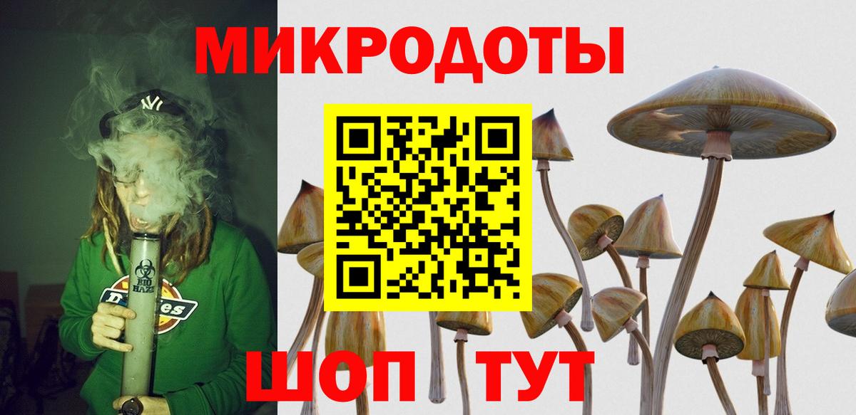 Галлюциногенные грибы Cubensis  Псилоцибиновые грибы Psilocybine cubensis  Омск  купить наркотики цена  Вход с VPN 