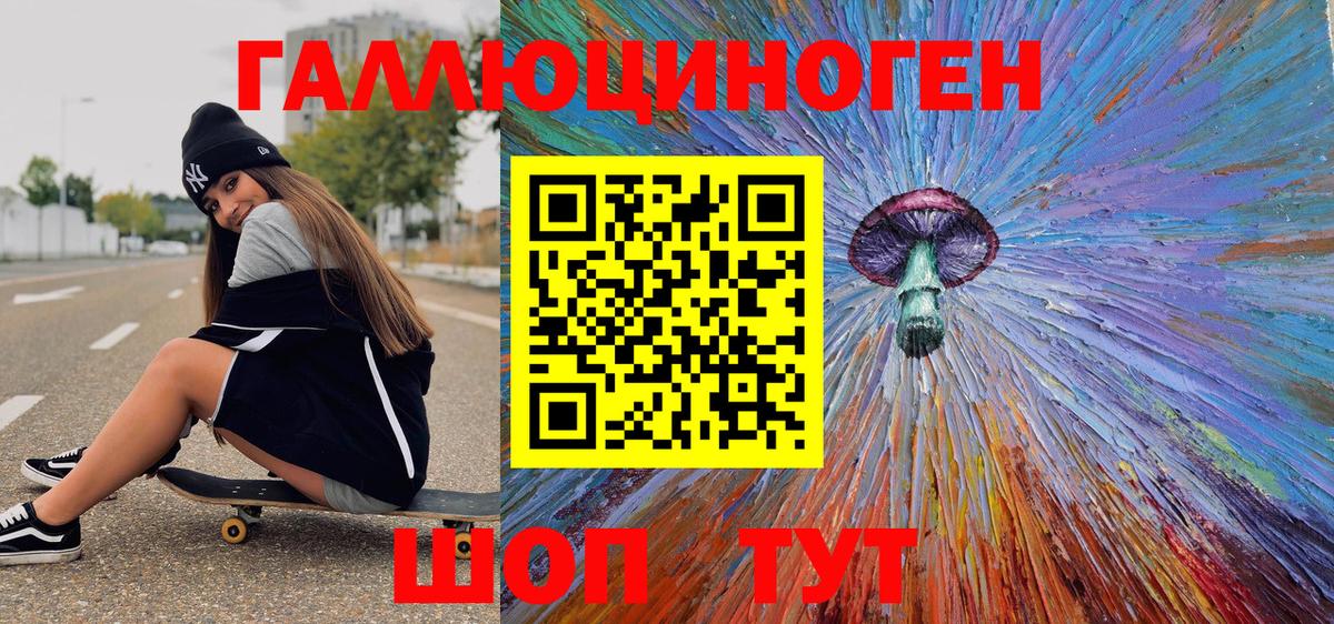 Псилоцибиновые грибы Psilocybine cubensis Омск